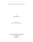 Informe de laboratorio de enlaces quimicos