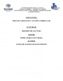 Práctica docente y acción curricular