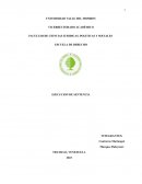 Monografía sobre la ejecución de sentencia