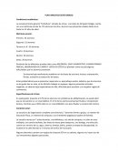 Plan analitico sexto grado