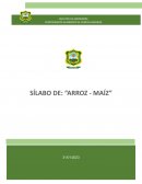 Guía Técnica sobre la Tecnología de la Semilla de Maíz