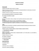 Reporte de sesión Modelo de milán