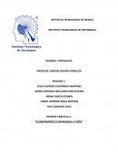 Practica 4 topografia