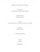 Uso tecnológico en la industria logistica en Colombia