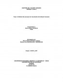 Análisis del proceso de vinculación del talento humano