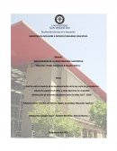 Metodología de investigación cualitativa