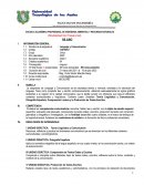 Silabo ingenieria ambiental lenguaje-comunicacion