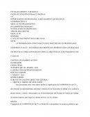 Manual de organización de Sanborns SA de CV