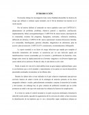 Plan de cuidado: Sepsis Neonatal