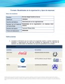 Modalidades de la organización y la empresa como sistema