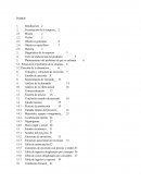 Proyecto de Inversiòn The Nail World