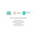 Estructura de la organización: Departamentalización