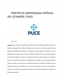 El proceso de facturación Electrónica
