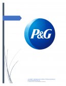 P&G plan de exportacion