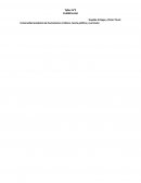 Taller N°2 Currículum