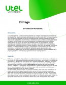 Mi formacion profesional