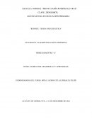 Reporte: Teoria psicogenetica