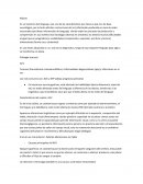 Resumen Afasia Adulto