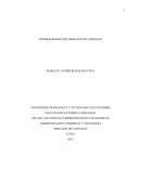 Mercado de capitales