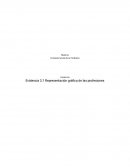 Representacion Grafica de las Profesiones