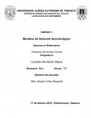 Mapa conceptual modelos geriatricos