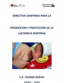 Plan de lactancia materna