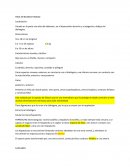 Hoja en blanco morfología