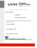 Elaboracion de instrumentos de medicion de psicologia