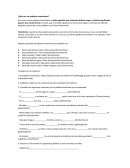 ¿Qué son las palabras homónimas?