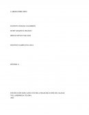 Laboratorio movimiento rectilineo uniforme (MRU)