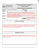 Formato idea de ponencia