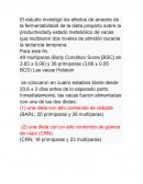 Resumen RAE lacteos