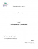 Derechos y obligaciones de los contribuyentes