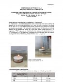 Método científico y combustión