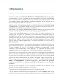 Derecho Procesal Constitucional