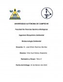 Reflexiones sobre el valor de la biotecnología en el progreso de la humanidad