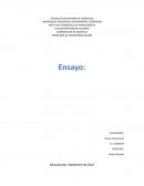 Investigación cualitativa