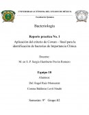 Reporte Bacteriología