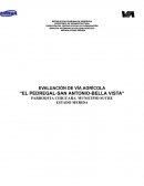 Evaluación de vía agrícola “El Pedregal-San Antonio-Bella Vista”