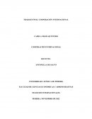 Trabajo Final Cooperación Internacional