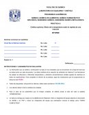 PRÁCTICA 8: Cinética química. Efecto de la temperatura sobre la rapidez de una reacción