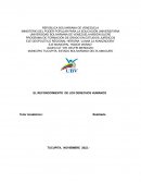 El reconocimiento de los derechos humanos