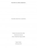 Desarrollo De Una Auditoría Administrativa