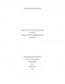 Literatura para jovenes