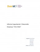 Informe compensación integral