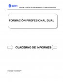 Mantenimiento de vehiculos livianos