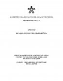 Algoritmo para el cálculo de áreas y volúmenes