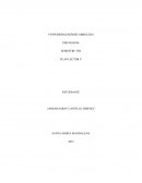 Compresión lectora. El verdugo del amor