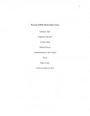 Proyecto STEM; Horno Solar Casero