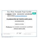 Planeacion jornada ampliada